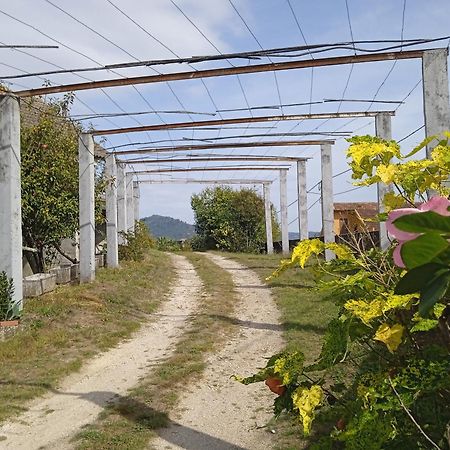 La Maison D'Abelleira Ponteareas Dış mekan fotoğraf