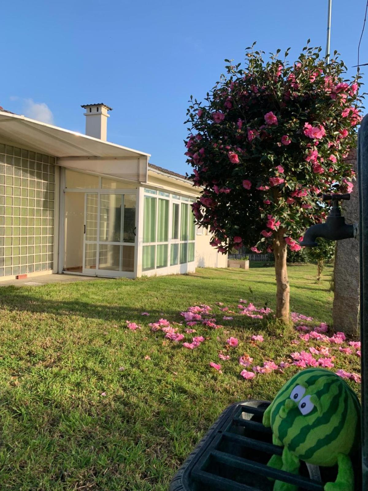 La Maison D'Abelleira Ponteareas Dış mekan fotoğraf