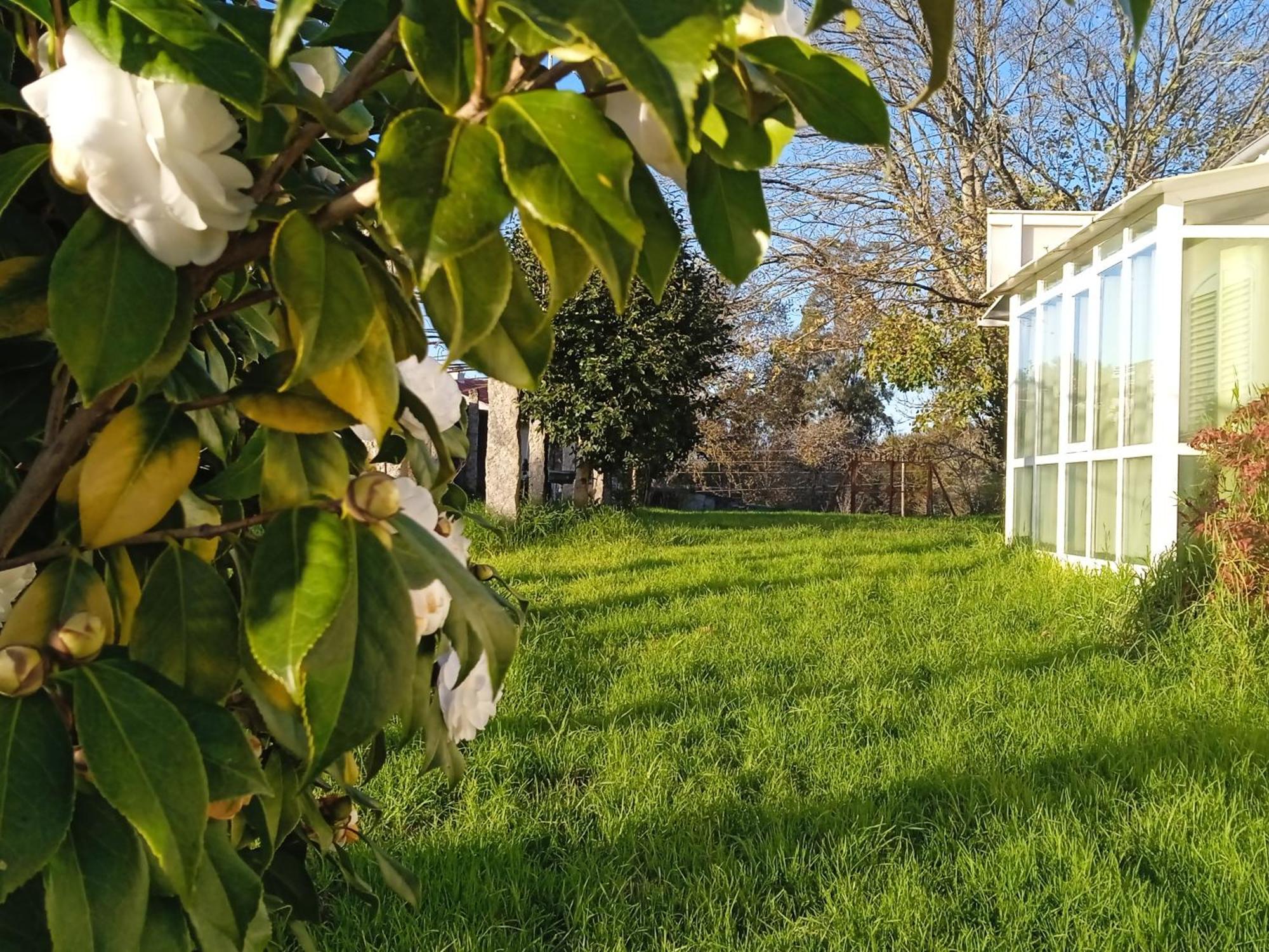 La Maison D'Abelleira Ponteareas Dış mekan fotoğraf