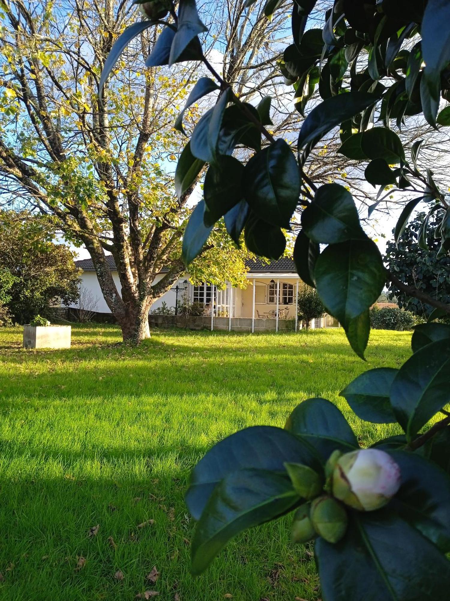 La Maison D'Abelleira Ponteareas Dış mekan fotoğraf