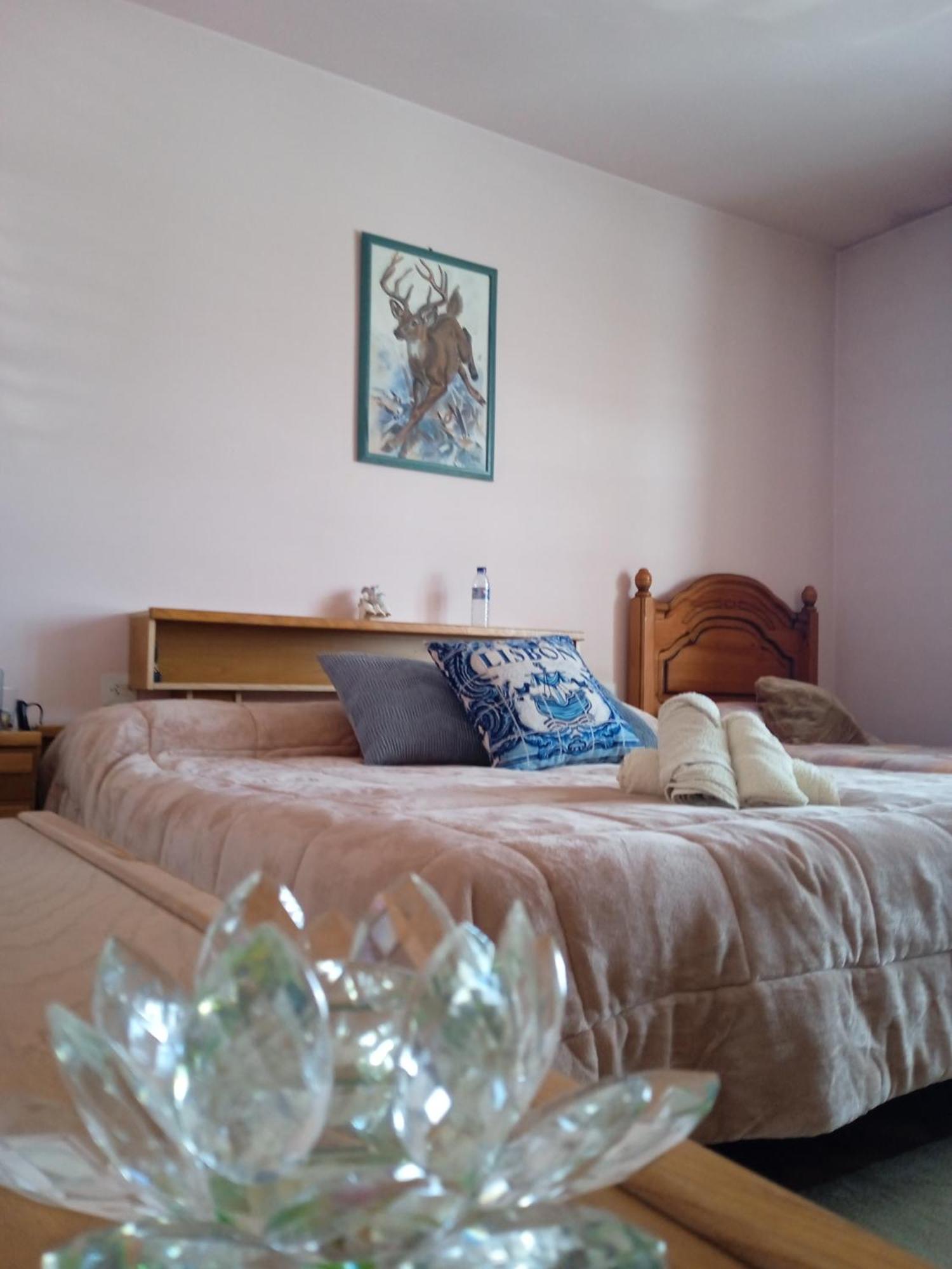 La Maison D'Abelleira Ponteareas Dış mekan fotoğraf